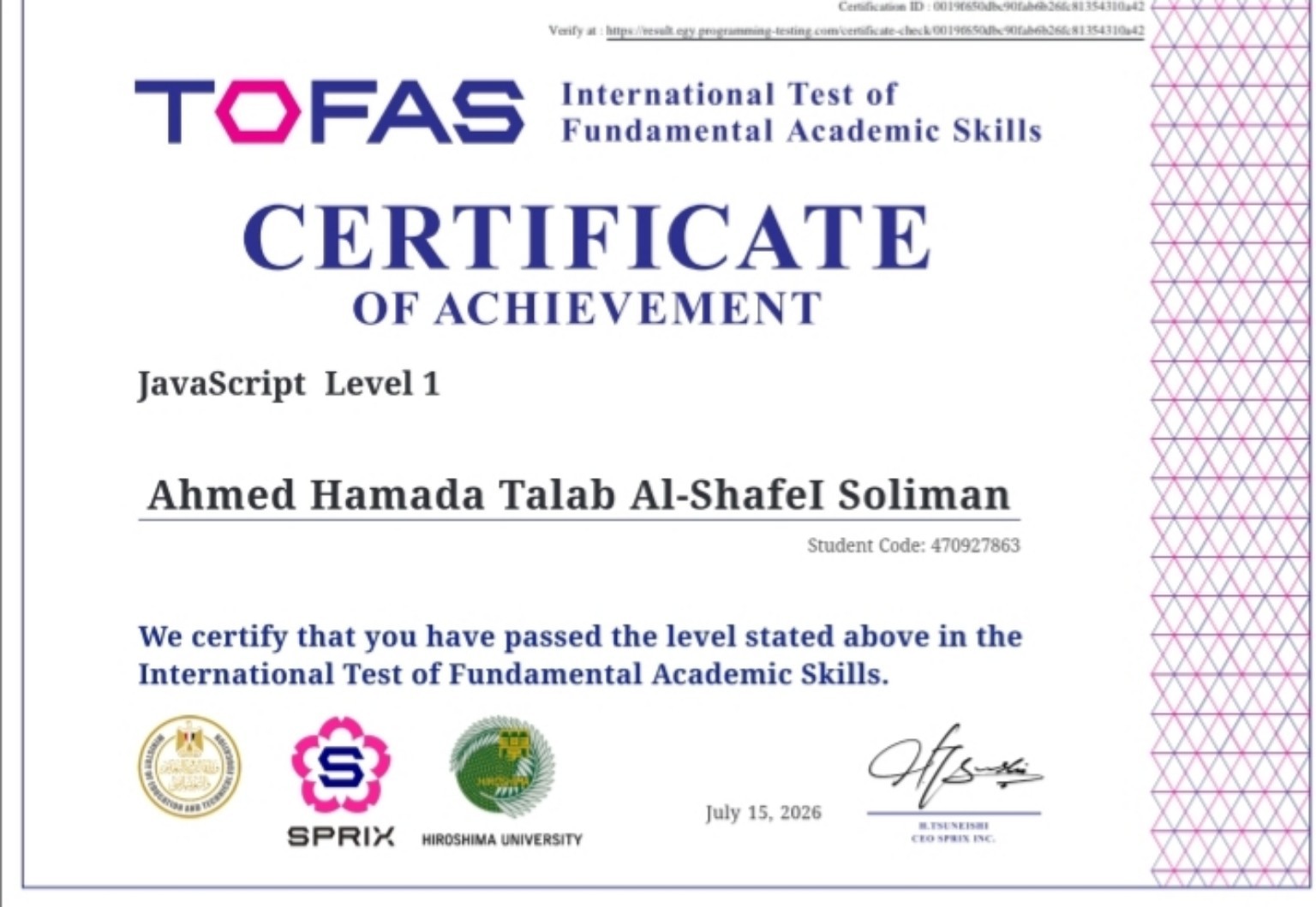 TOFAS JavaScript Level 2